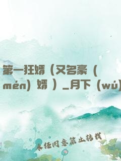 第一狂婿（又名豪門(mén)龍婿 ）